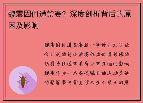 魏震因何遭禁赛？深度剖析背后的原因及影响